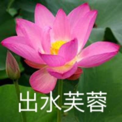 明月天涯剑bt版下载